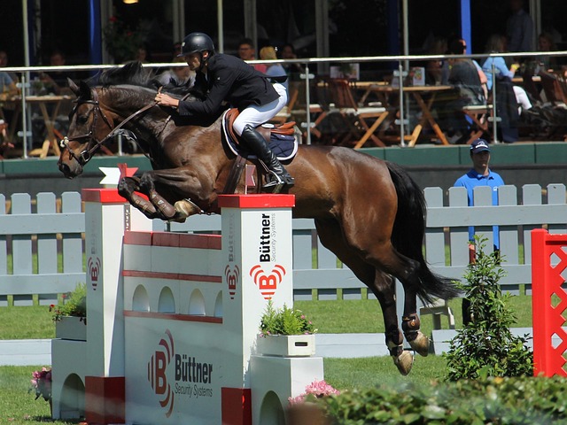 都靈本輪則 都靈本輪則