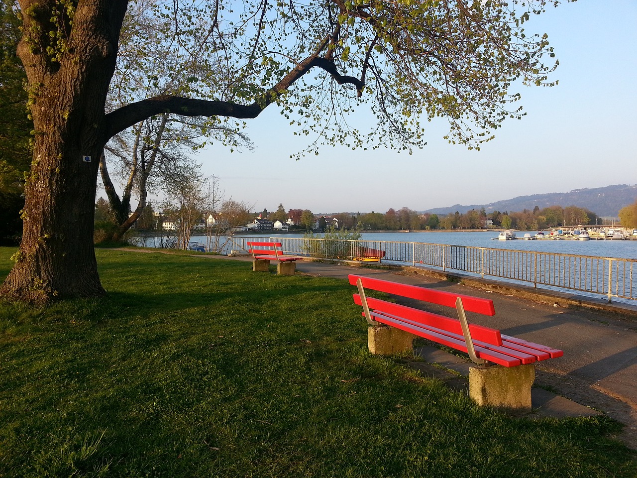 參與了當地 參與了當地